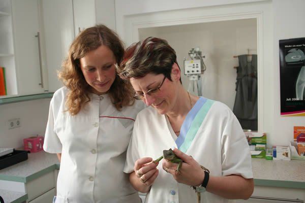 Tierärztliche Praxis Dr. Ilka Pfeffer - Untersuchung